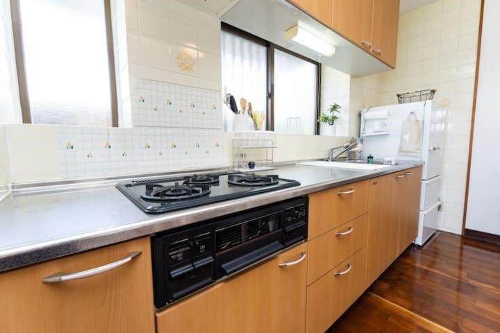 Vila Mizunowa B035 Nago Exteriér fotografie